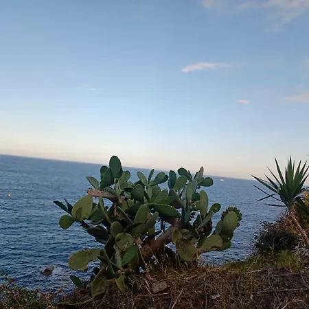 Apartment Ognina Soha 1 *